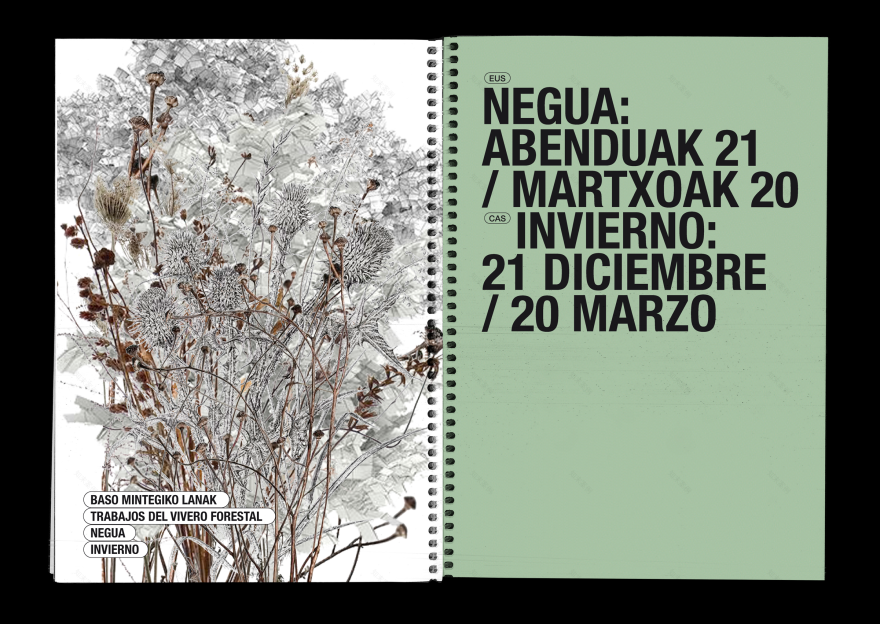 BOSQUE AUTÓCTONO 实地指南-11