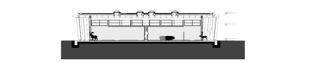 德国厄赫林根宠物动物园设计丨Kresings Architektur-32
