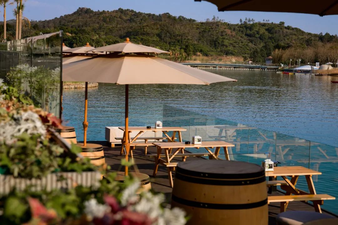 河源春沐源小镇棕榈树酒店丨中国河源丨WATG,森磊国际-23