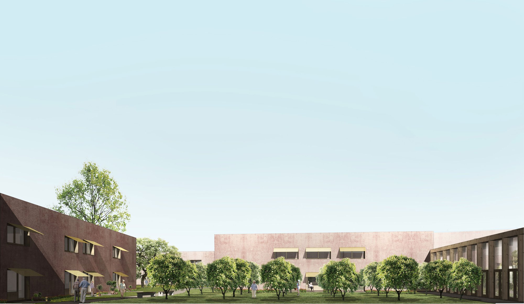 丨比利时丨Henley Halebrown-16