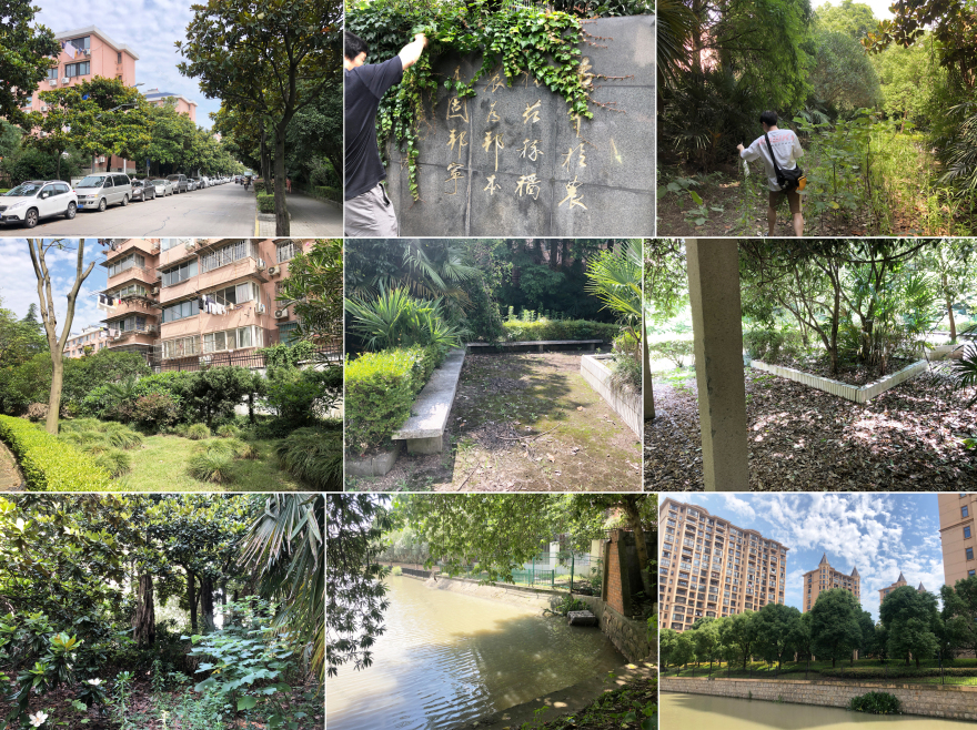 甲板花园丨中国上海丨VIA维亚景观-8