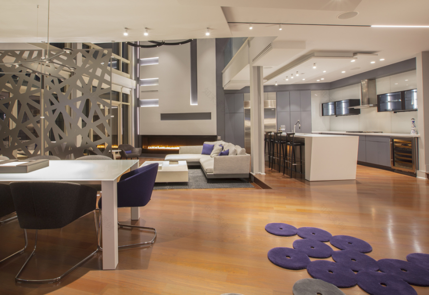 Adams Morgan 顶层公寓丨美国华盛顿丨FORMA Design,Inc.-13