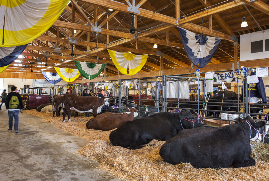 华盛顿州博览会的农业综合体-17