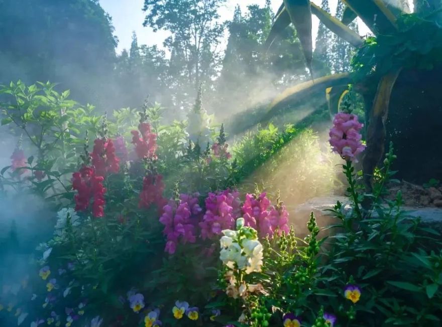 三棵树庄园 | 摄影家的心灵秘境-73