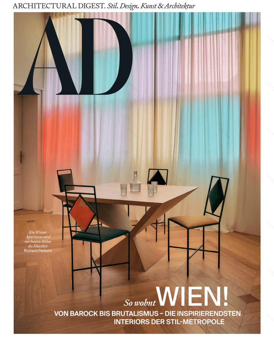 维也纳老建筑公寓改造项目丨奥地利维也纳丨Richard Peduzzi-4