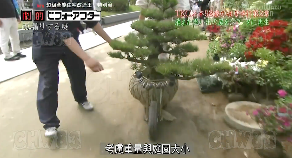 废墟庭院,漏水露台花园改造丨日本大阪丨金井良一-128