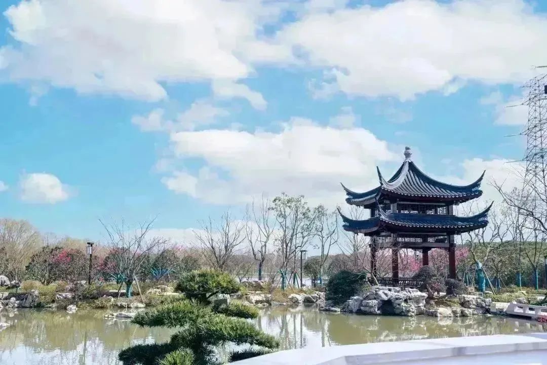 上海沔青公园丨中国上海-7