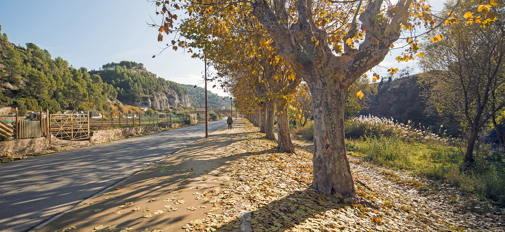 Camí de Cabrianes道路景观重建，西班牙 / estudi08014-4