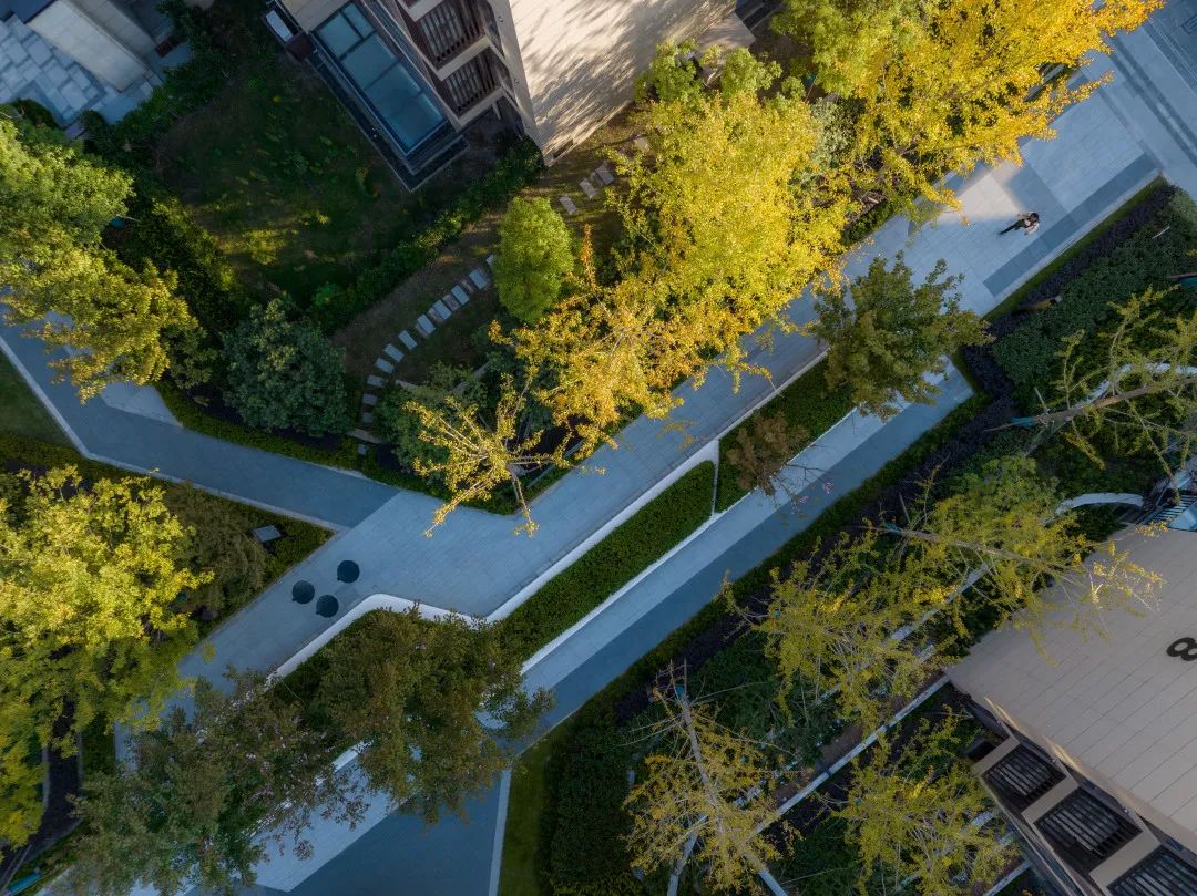 解构生活的艺术 | 南京招商雍宁府​（大区）-56