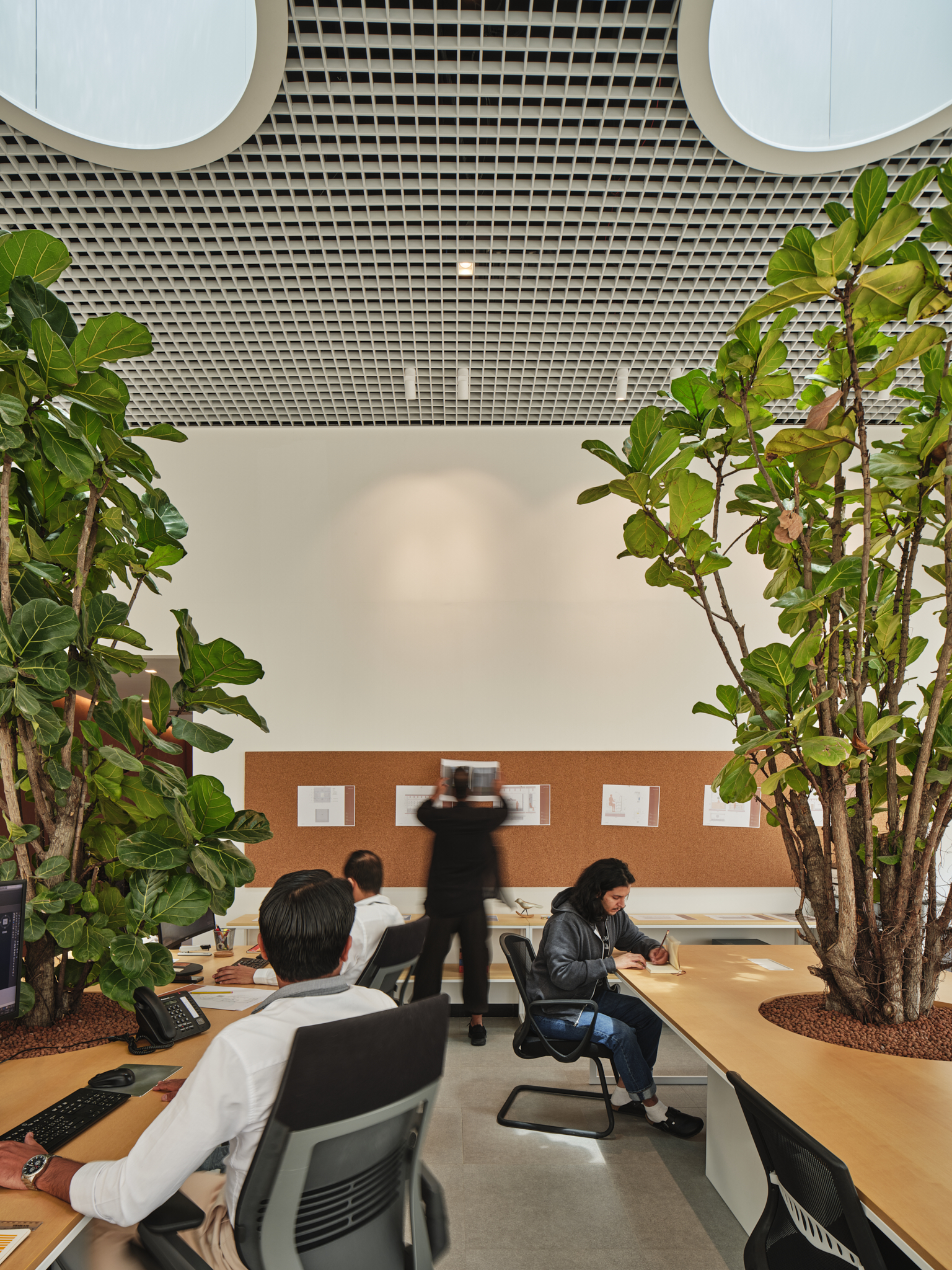 Studio 梅沙里·阿尔纳萨尔-15