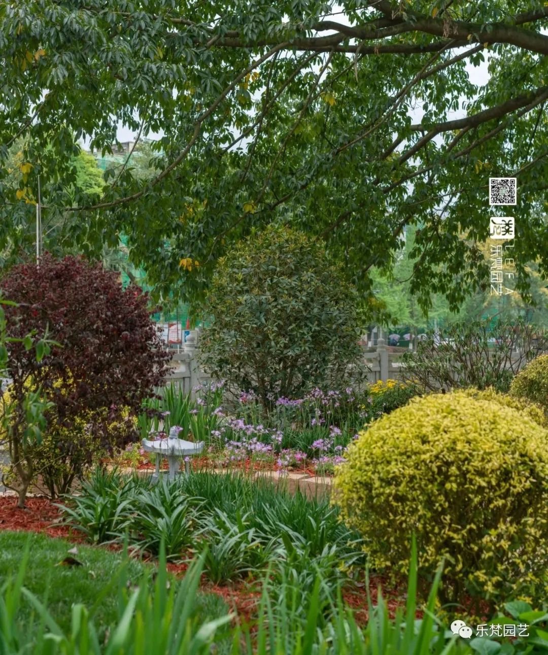 丹棱春色 · 古韵新颜,漫山幸福花开丨中国眉山丨乐梵-32