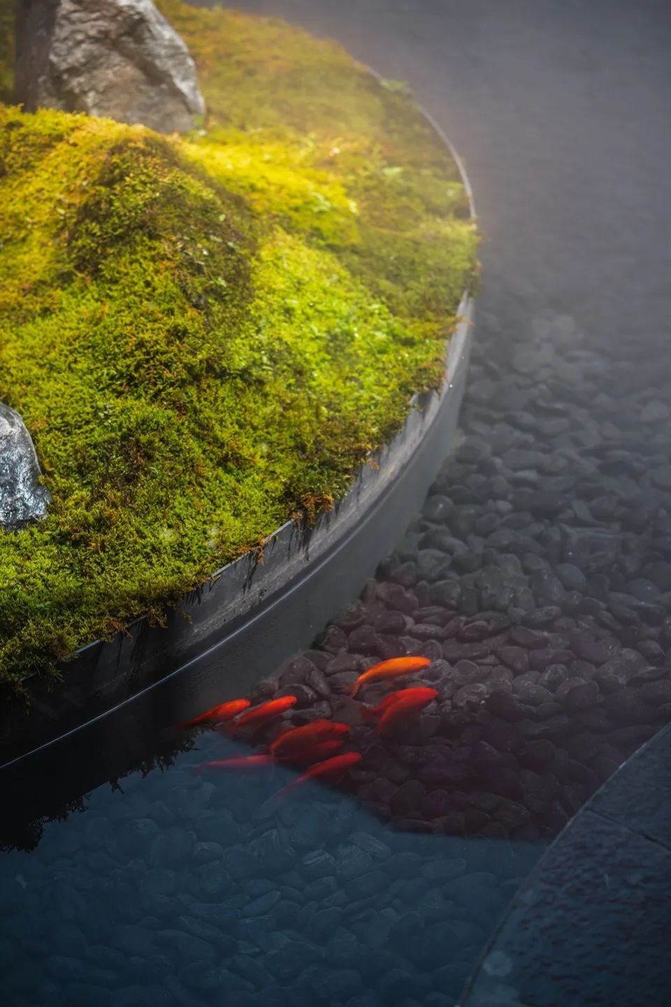 宽三堂中餐厅东方人文生活空间丨中国成都丨慕达建筑-16