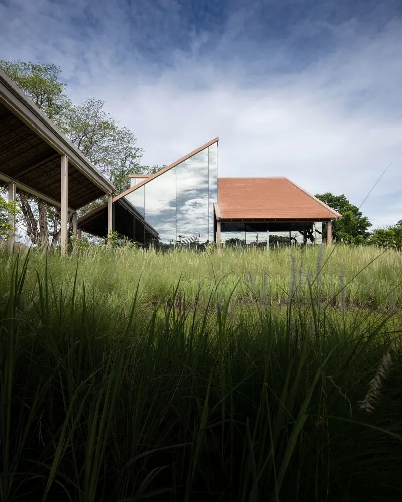 泰国乡村新咖啡馆 | 玻璃与木瓦的生态融合-31