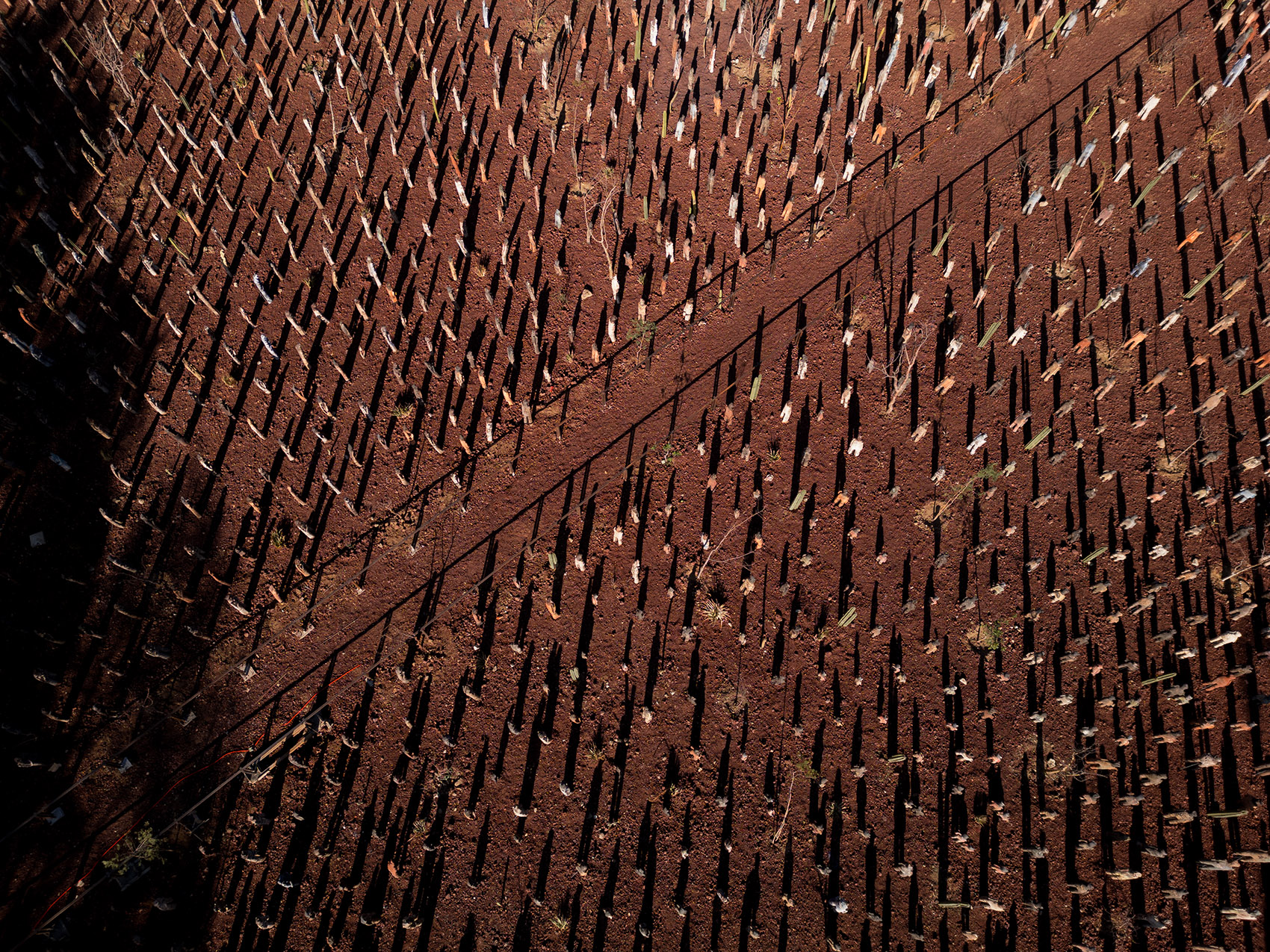 Parque Primavera Oaxaqueña Cho Ndobá城市更新丨墨西哥丨RootStudio-63