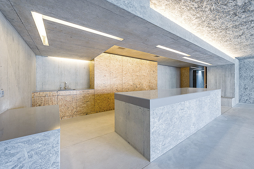 瑞士苏黎世 H 公寓楼——融入自然的自由空间-23