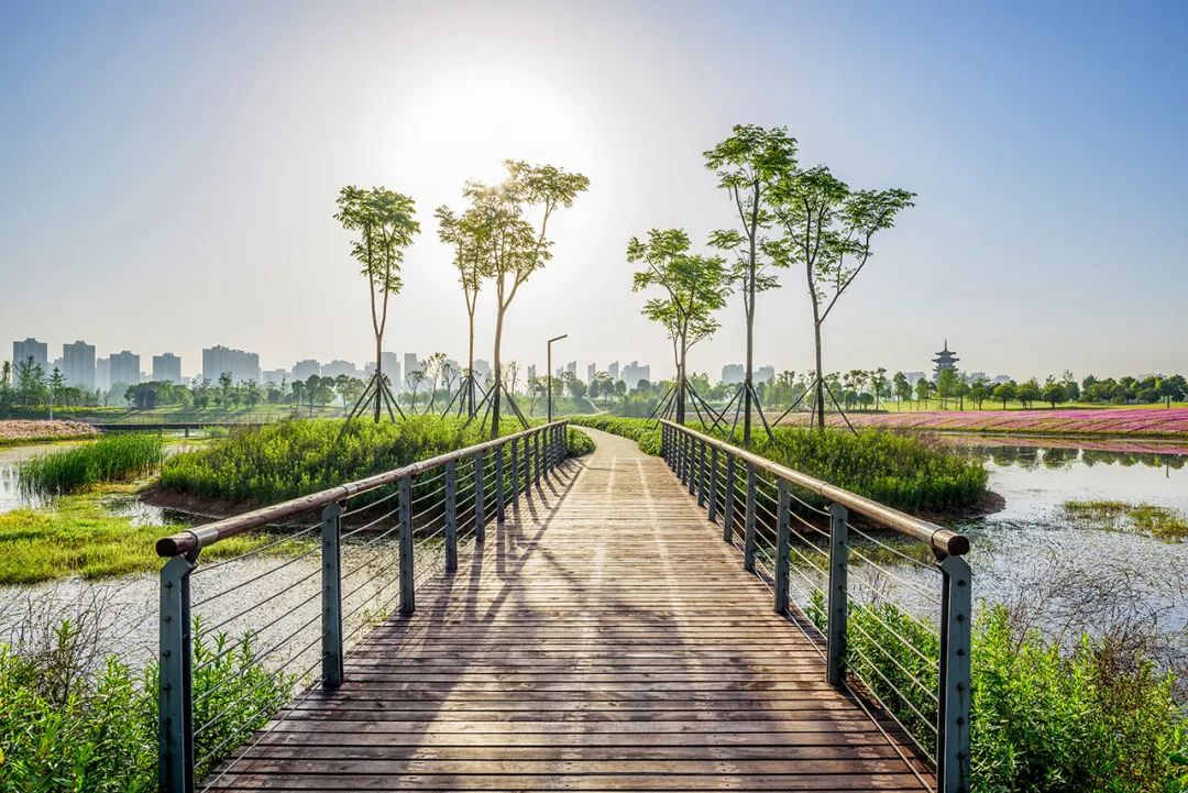 海绵城市建设 | 公园景观规划的实践与思考-56