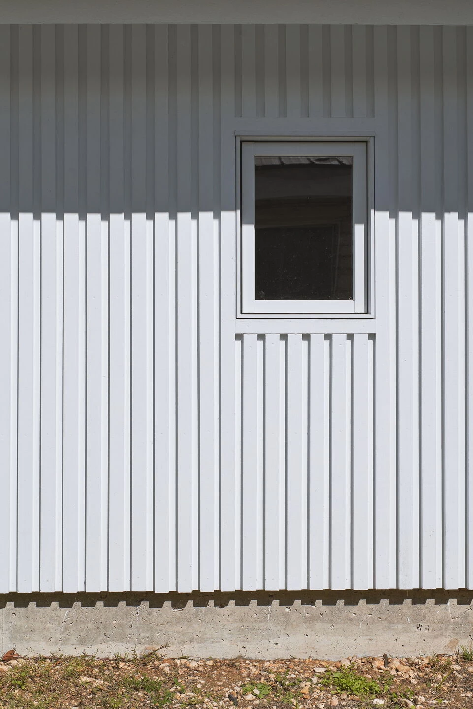 Little Tiger Chinese Immersion School-13