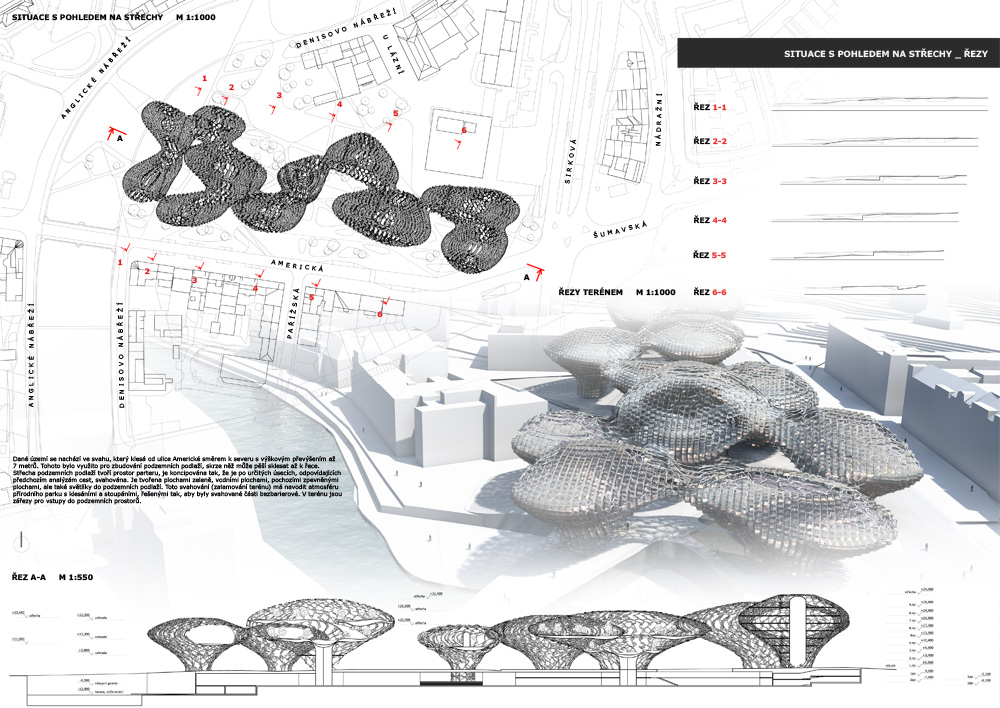 丨捷克丨Nina Pevná-7