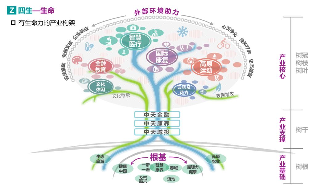 栖城设计“橙子奖”项目案例解析-685