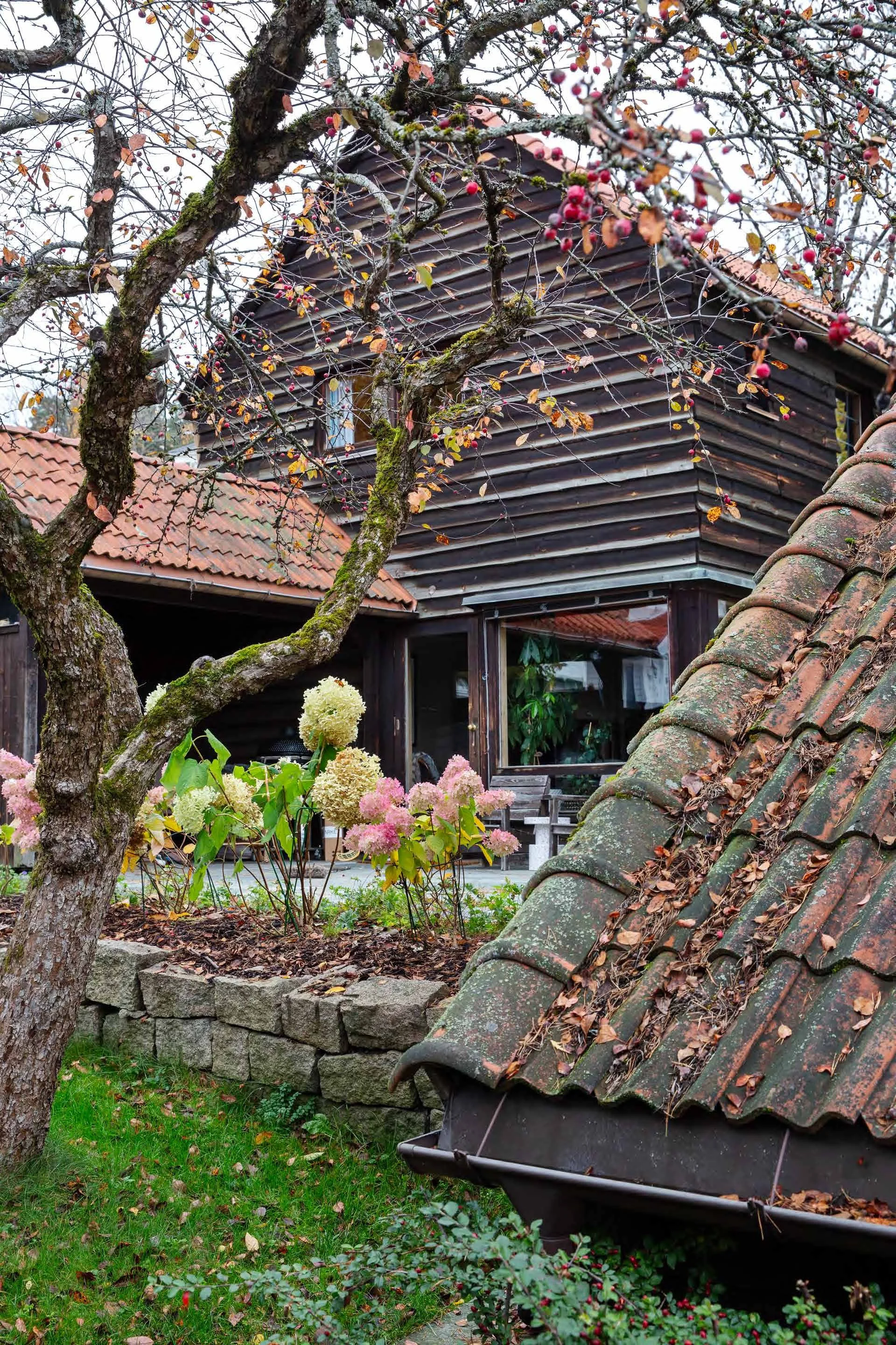 60秒速建房；60秒快建房（注：60s house表述不太常规，推测可能是指那种能在60秒左右快速搭建好的房子，这是根据一般理解做出的翻译） 丨挪威-5