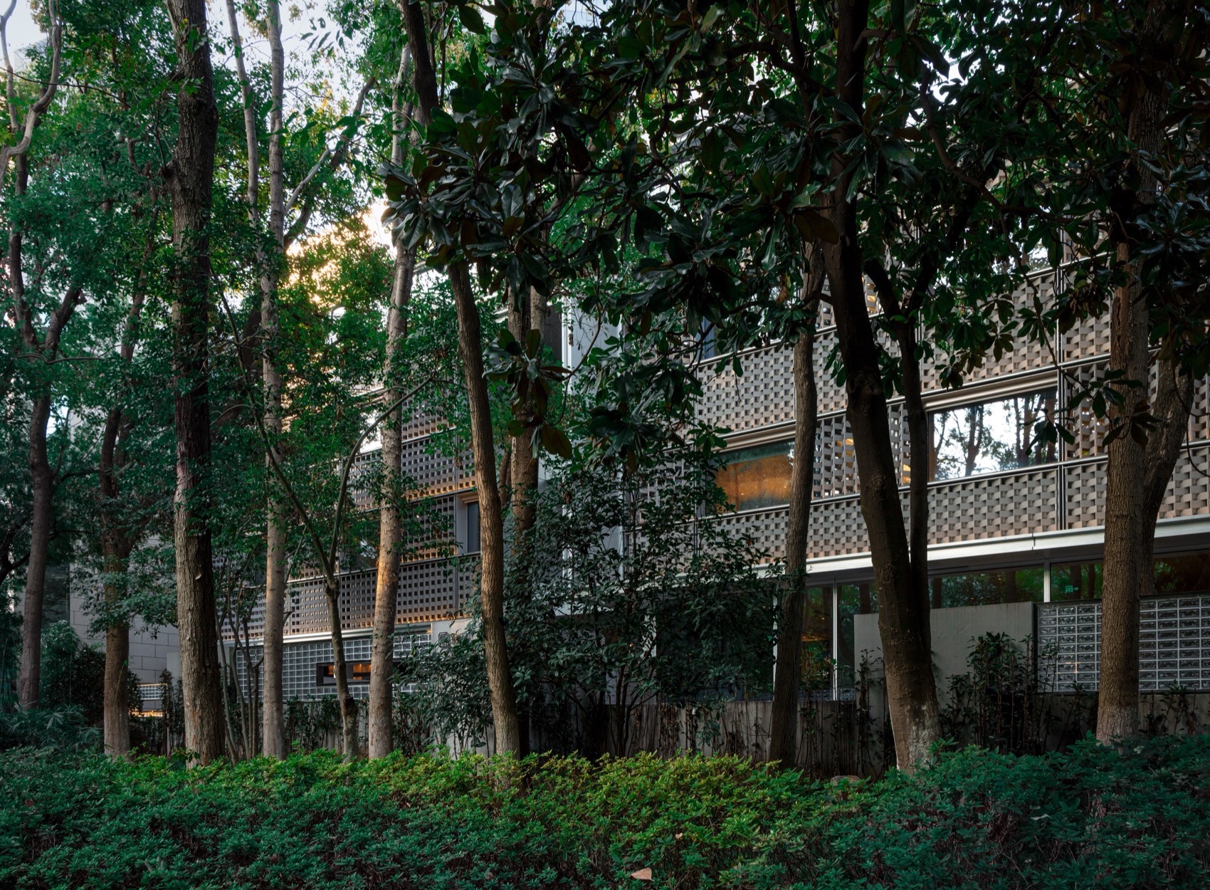 南京鼓楼锦上OCC餐厅丨中国南京丨BUZZ建筑事务所-53