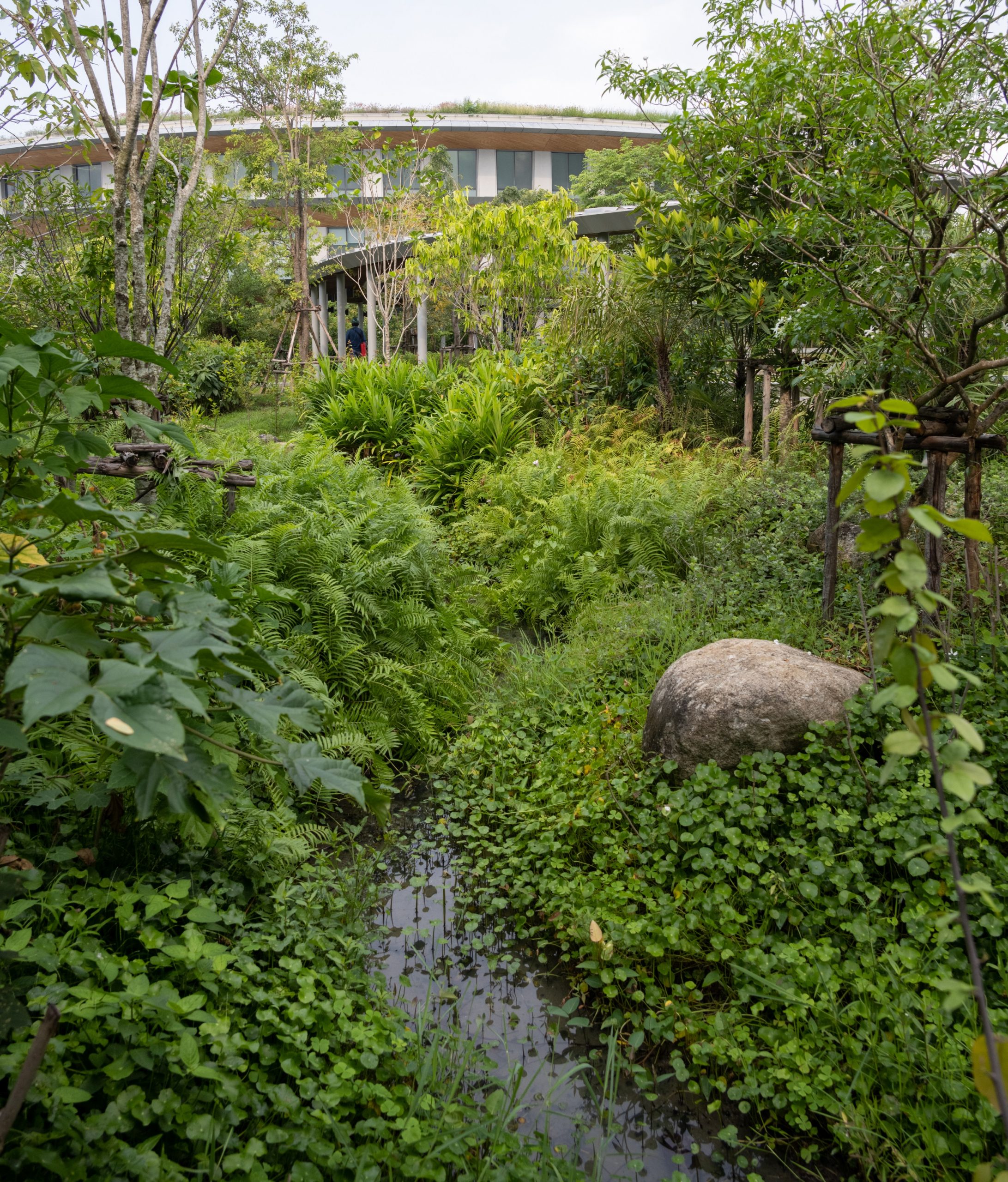 泰国PTT液化天然气接收站景观设计丨泰国罗勇丨TK Studio-18