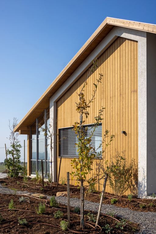 自然共生之宅 · 以色列环保木屋丨Inon Ben David-30