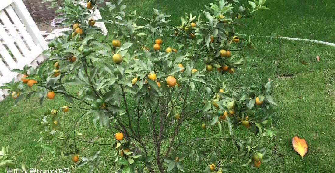 青浦别墅的实用宜居设计-27