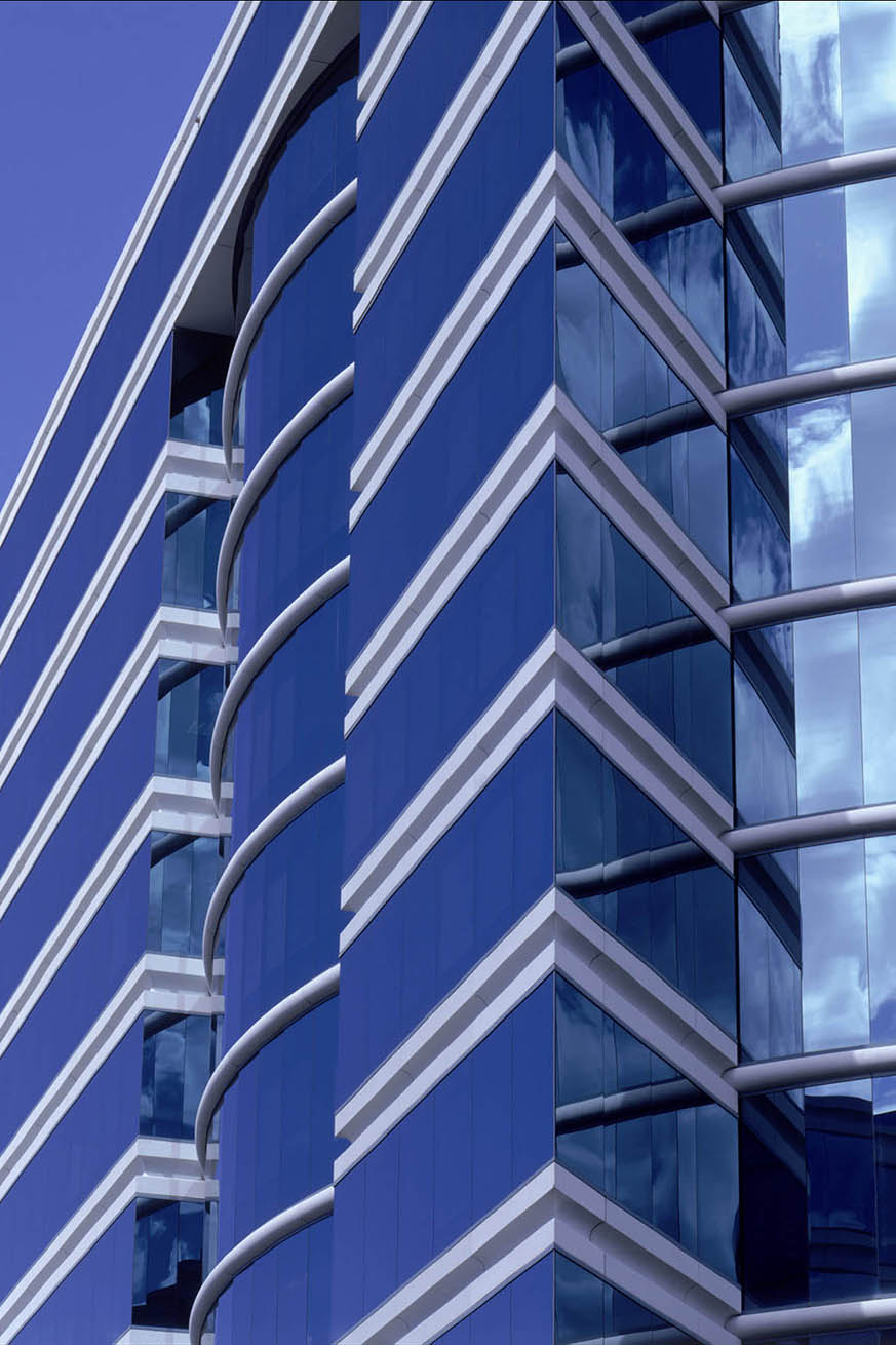 SAN FRANCISCO SPCA-2