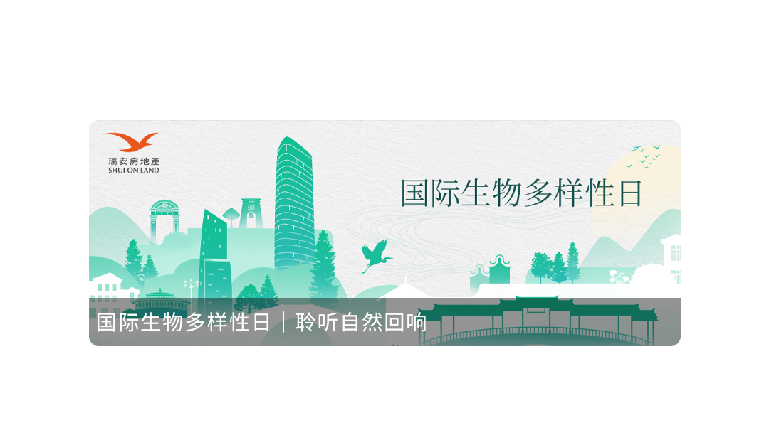 2025上半年瑞安荣耀进阶：多维领跑行业大奖全记录-18