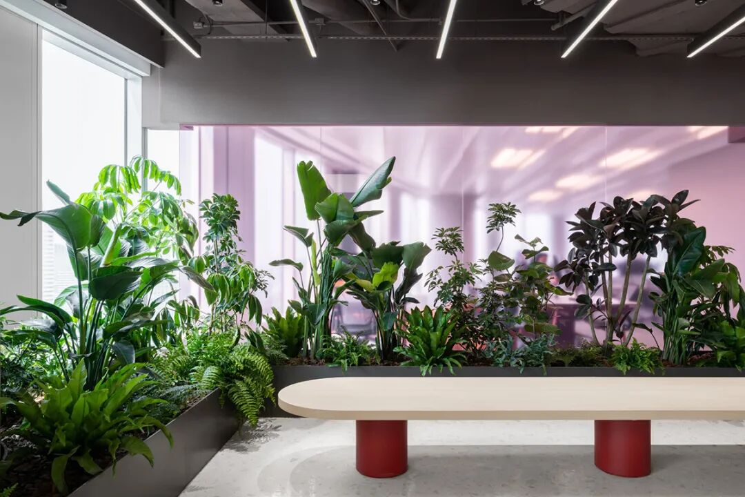 Publicis阳狮集团上海总部丨中国上海丨IFG伊波莱茨建筑设计-17