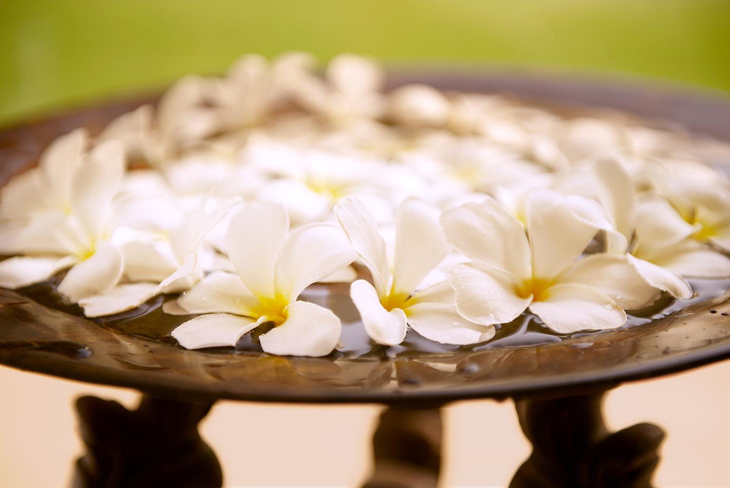 )Le Meridien Dubai, Dubai, United Arab Emirates-47