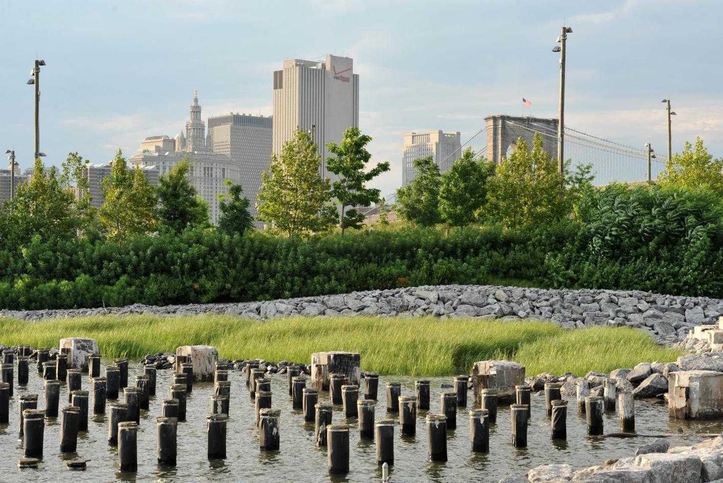 纽约布鲁克林大桥公园码头-5