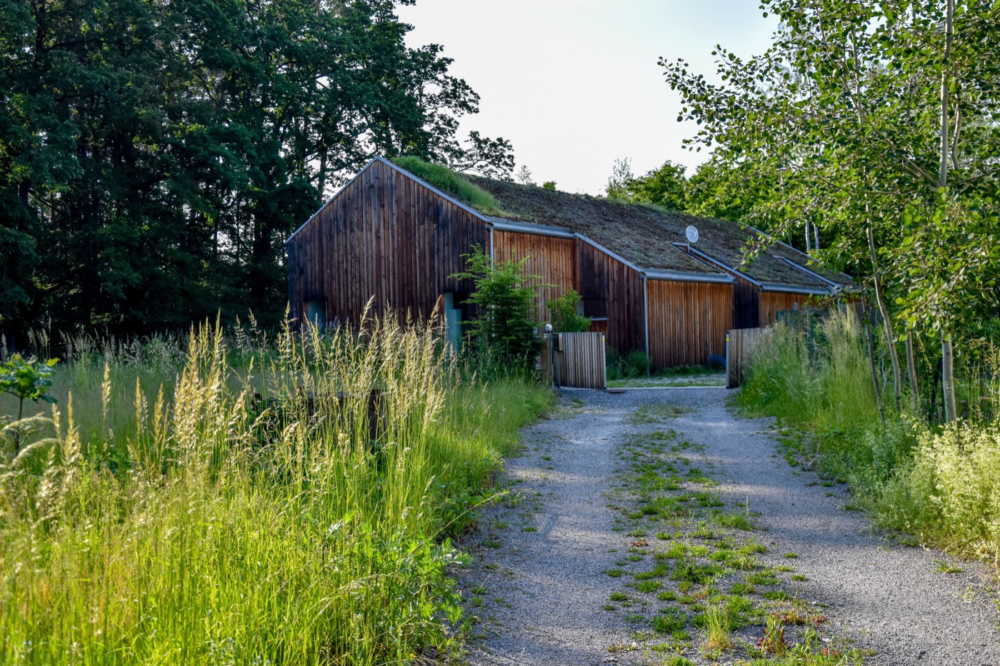 自然之境 · 现代乡村家庭花园-7