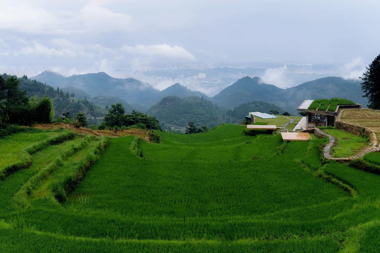 重庆飞茑集 | 睡入云端,尽享清凉山城田园生活-11