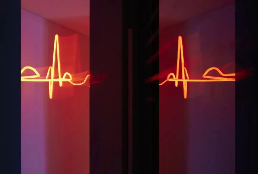 律动蓬勃 · ECD 衍筑设计的超序生命力空间-20