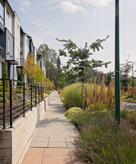 The Ridge at Big Rock社区及相关配套丨美国华盛顿丨DTJ Design-31