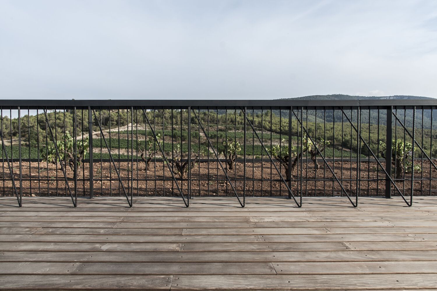 西班牙 Ingravits 酒庄仓库丨SALA FERUSIC Architects-26