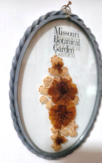 园林文化|三十载园林情缘——中国“友宁园”-24