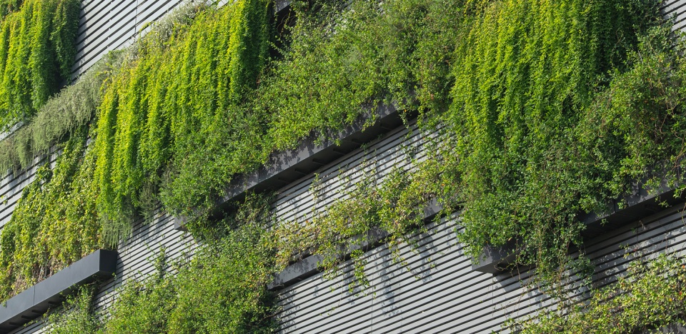 奥斯汀空中花园 | 绿色生活的创新范例-46