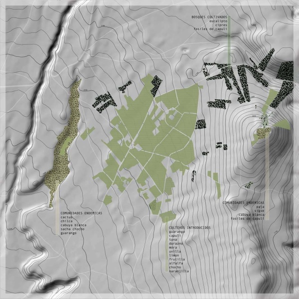 A--D -- Ananda EcoAldea: Creating Sustainable Communities-141