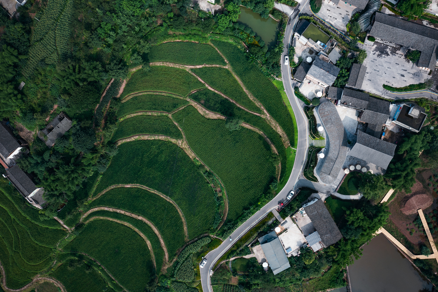 宜宾遵生小院丨中国宜宾丨在行建筑-8
