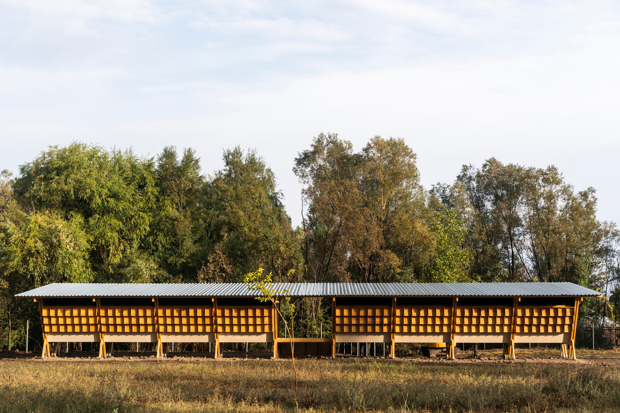 土耳其“鸡舍”艺术农场-1