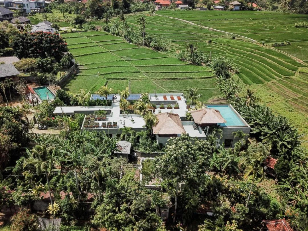 717 m²巴厘岛平房民宿-15