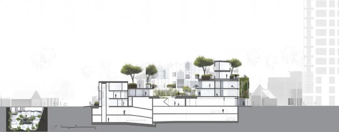 加州比佛利山庄“园艺屋”多功能绿色住宅设计-40