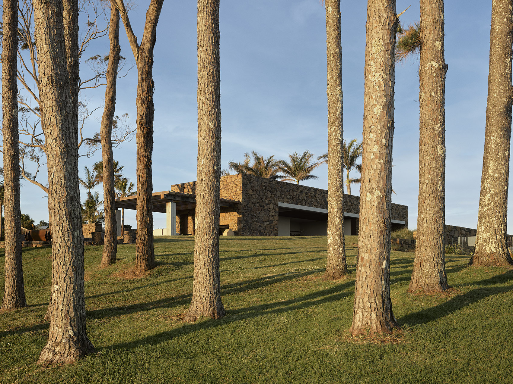 Coopers Shoot住宅丨澳大利亚丨建筑师Polly Harbison,室内Tigmi-3