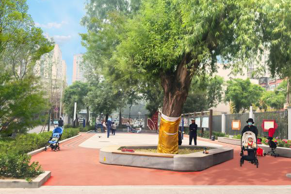 从课堂到街区更新实践！园林学院师生携手居民共建街巷“博物馆”-110