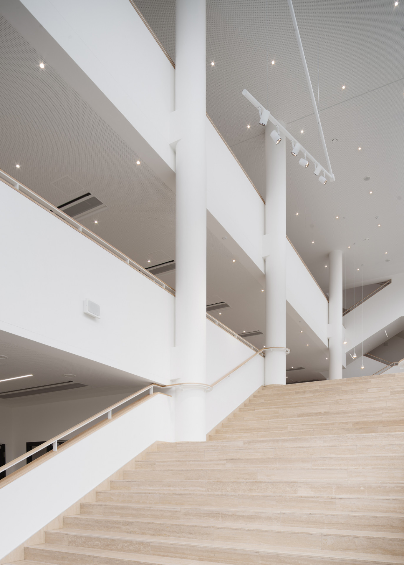      Katalog: majo architekti - Pavilon IMPAKT MFF UK
 |  EARCH.cz-67