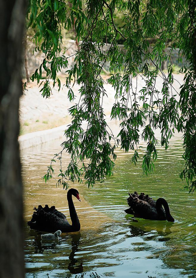 ANZONE 安哉美学度假社区丨中国北京丨妙觉创意设计工作室-15