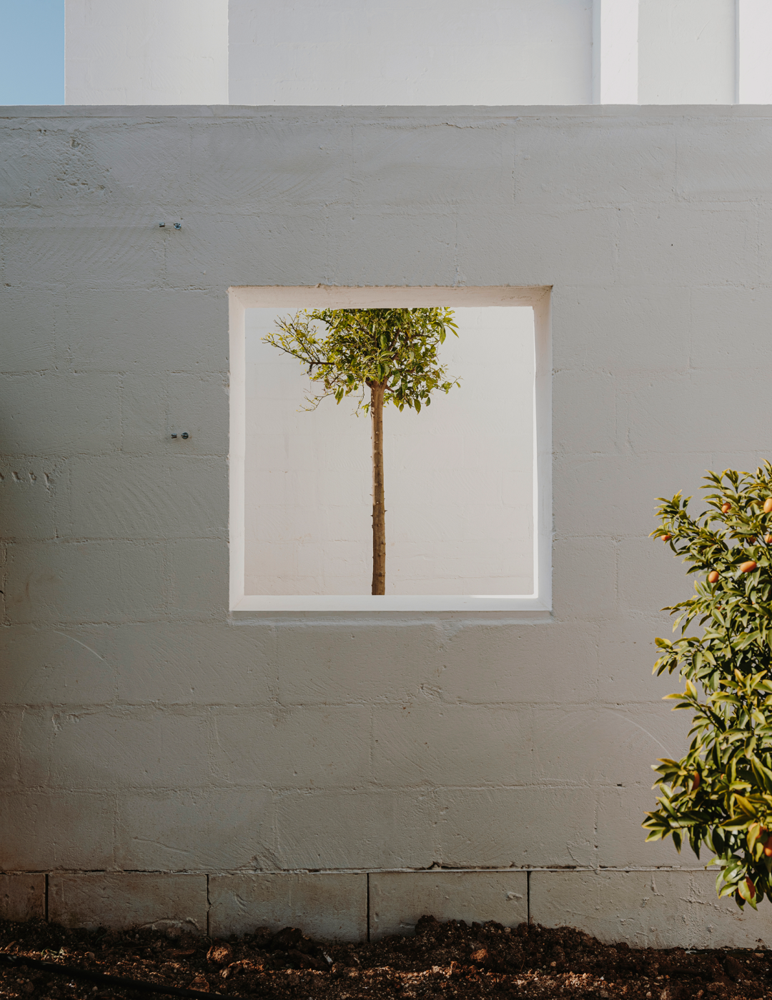 索莱托之家丨意大利丨Studio Andrew Trotter-19